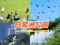 -白鹭洲公园