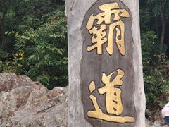 -海南霸王岭国家森林公园