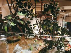 -KimPro 辛普乐概念韩餐