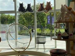 -飞行喵MR PILOT|猫舍·猫咖(静安大融城店)