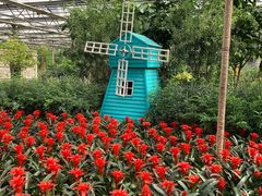 -南宫五洲植物乐园