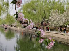 -元大都城垣遗址公园