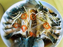 -煲来饱去冷水鱼