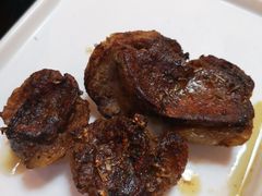 -食家鸽园