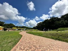 -济州森林小火车生态公园