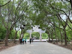 -南汇桃花村