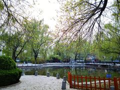 -玲珑塔公园