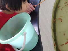-杭州少年儿童公园