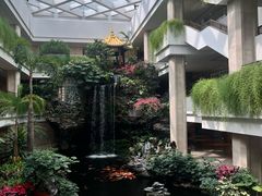 -广州白天鹅宾馆