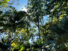 -中国科学院西双版纳热带植物园