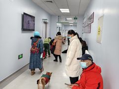 -中国农业大学动物医院