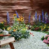 这‼️藏了一室“繁花”的春天💐