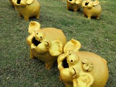 -清迈夜间动物园