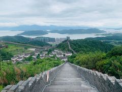-黄贤森林公园
