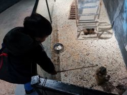 -酷嗒动物文化乐园(cutezoo西溪乐天城店)