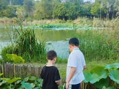 -Supine Bistro溯泮餐厅