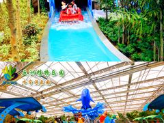 -南宫五洲植物乐园
