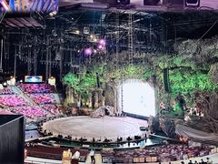 -广州长隆国际大马戏