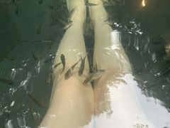 -天目湖御水温泉·度假酒店