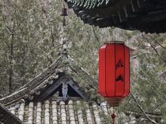 -藏山旅游风景区