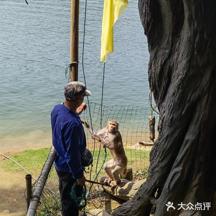 太平猴魁的产地