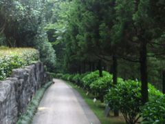 -灵光寺