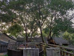 -悦真雅院·四合院·清真私房菜(雍和宫店)
