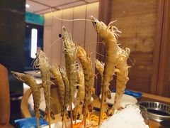 -尚海豆捞(乐虹坊店)