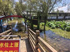 -焦岗湖旅游度假区