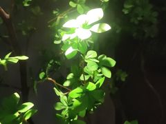 -唐宫足道·SPA·住宿24H会所(木渎店)