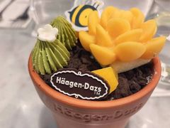 -哈根达斯(朝阳大悦城店)