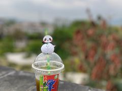 -肇庆古城墙