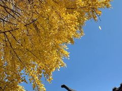 -郑和公园