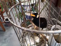 -五悦北平四季涮肉·烧烤(老商埠店)