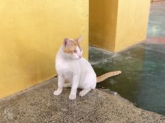 -ခြောက်ထပ်ကြီးရွှေသာလျောင်းဘုရားကြီး