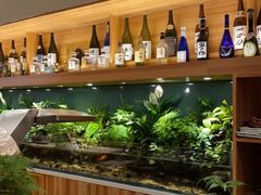 -泉寿司(万科公园店)