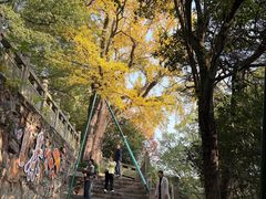 -狼山风景名胜区