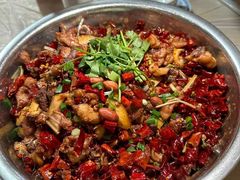 -食神又名厕所兔