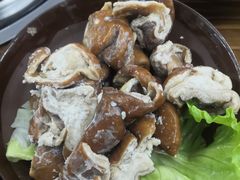 卤肥肠-笔记安顺夺夺粉火锅