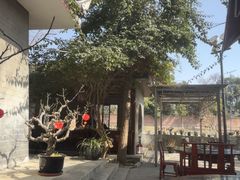 -生宇山珍野生菌汤锅•始于2002(双流古塔店)