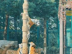 -上海野生动物园