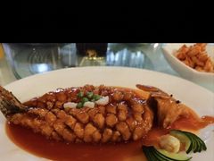 -清真马祥兴菜馆(云南北路店)