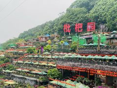 -枇杷园食为鲜火锅(南山店)