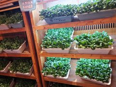 -福苗小骆驼烧烤(曲江店)