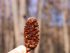 -硗碛藏寨·神木垒景区