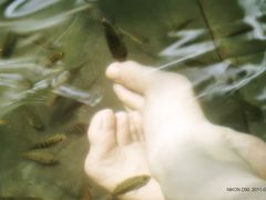 -三亚珠江南田温泉度假区