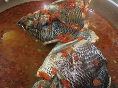 -风鑫铃罗非鱼(道沟店)