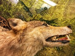 -下渚湖国家湿地公园科普馆