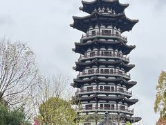 -洋湖国家湿地公园