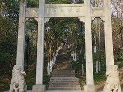 -赭山公园